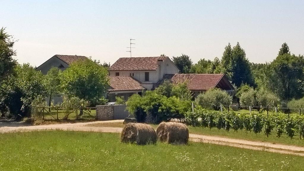 Bed and Breakfast Il Giuggiolo Конельяно Экстерьер фото