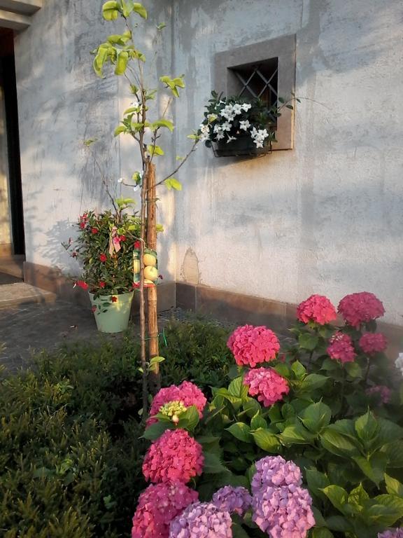 Bed and Breakfast Il Giuggiolo Конельяно Экстерьер фото