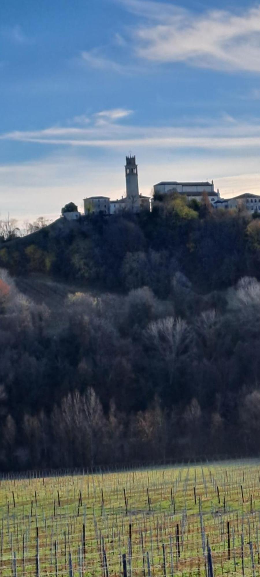 Bed and Breakfast Il Giuggiolo Конельяно Экстерьер фото