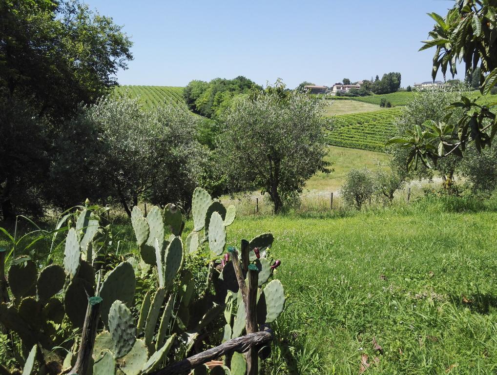 Bed and Breakfast Il Giuggiolo Конельяно Экстерьер фото